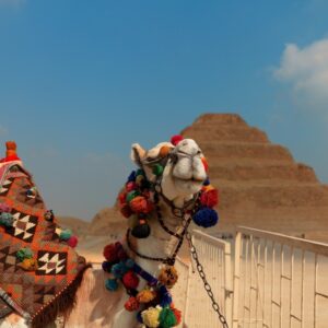 8 Day Egypt & Jordan Tour Package